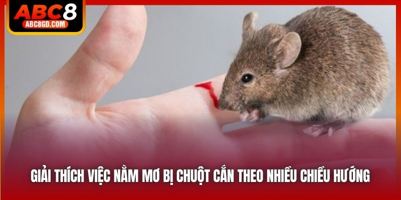 Giải thích việc nằm mơ bị chuột cắn theo nhiều chiều hướng