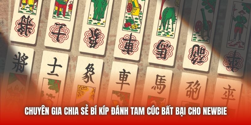 Chuyên gia chia sẻ bí kíp đánh Tam Cúc bất bại cho newbie